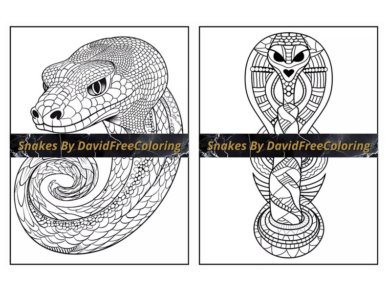 40 Snakes Coloring Book Snakes Coloring Image for Adult Coloring Pages ...