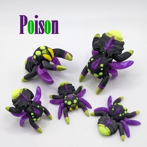 Tiny Jumping Spider 3D Printed Multicolor Poison
