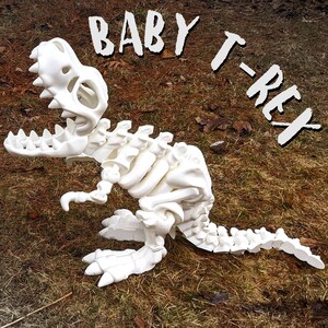 May include: White plastic skeleton of a baby T-Rex dinosaur. The dinosaur is posed with its mouth open and its tail extended. The dinosaur is on a bed of brown grass.