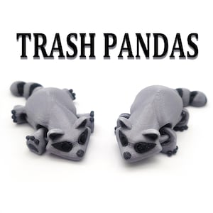 Trash Pandas - 3D Printed Multicolor Raccoons