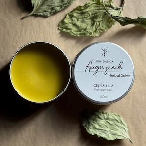 Broadleaf Plantain Salve
