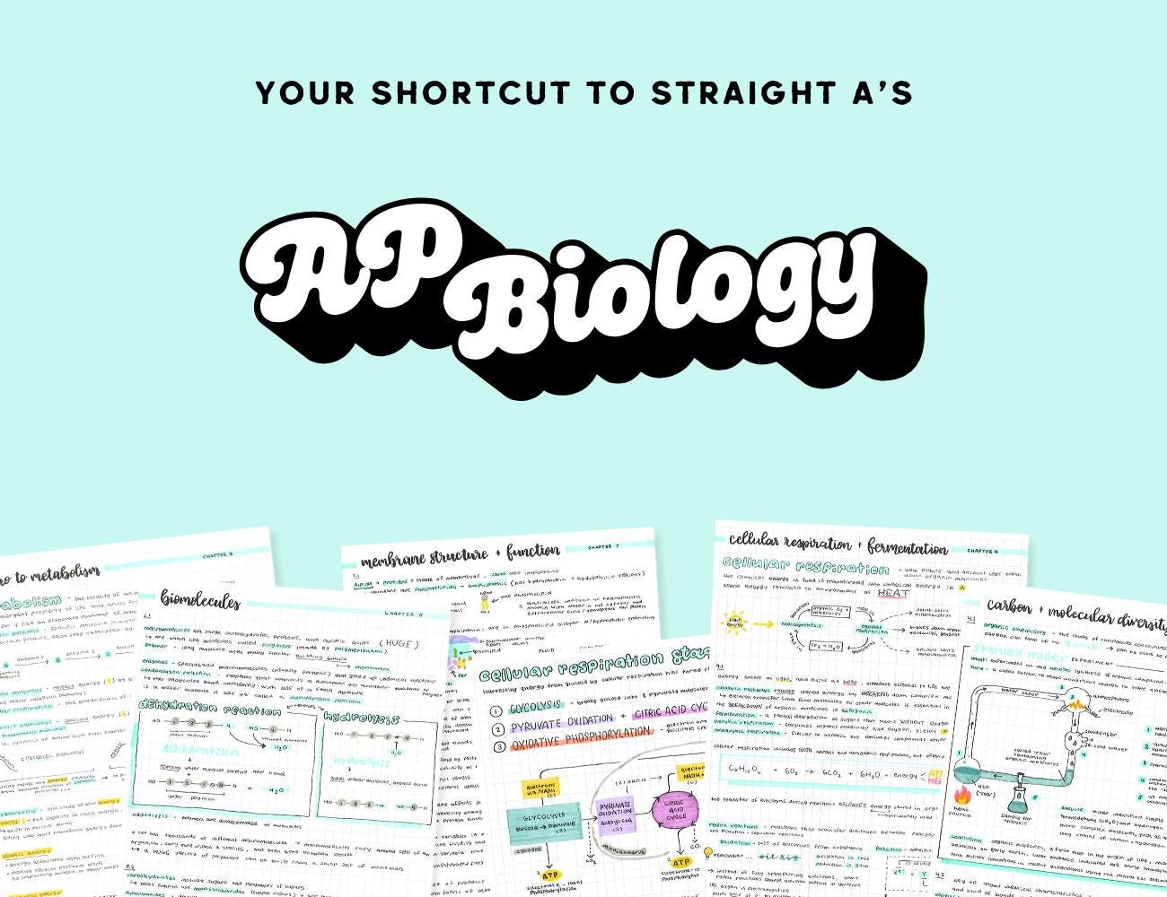 AP BIOLOGY Chapter 7 Study Notes - High School Exam Prep Guide, AP ...