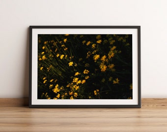 Impresión artística de flores silvestres durante la hora dorada / Fotografía de naturaleza con ambiente melancólico