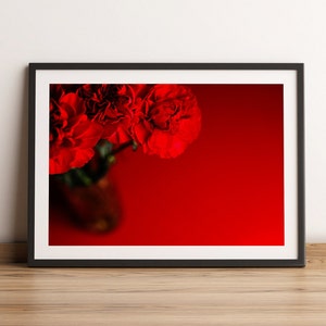 Fine Art Photography Print | Red Carnations | Flower Photography | Monochrome Photo Art | Minimal Photography Prints | Minimalist Wall Art