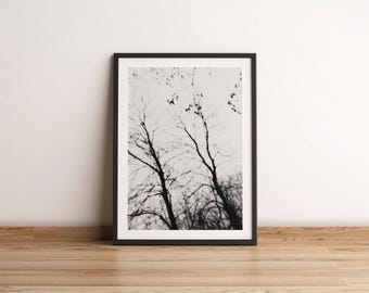 Stimmungsvoller kahler Zweigbaum-Druck | Schwarz-Weiss Fine Art Fotografie
