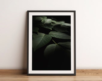Green Leaf Photography Print | Moody Leaves Wall Art