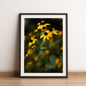 Fine Art Flower Photography Print | Wild Sunflowers | Wildflower Photography | Yellow Flower Photo Prints | Sunflower Wall Art