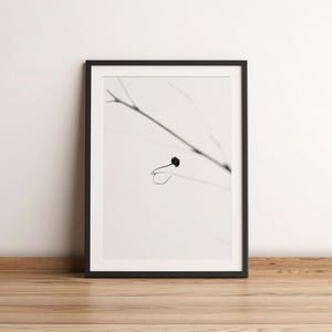 Fine Art Photography Print | Black and White Nature Photo | Almost Bare Branch | Minimal Tree Photos | Monochrome Photo Art