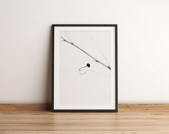 Minimalist Black and White Tree Branch Fine Art Print