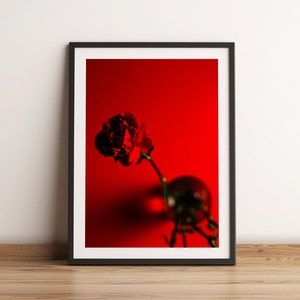 Fine Art Photography Print | Red Carnations | Flower Photography | Monochrome Photo Art | Minimal Photography Prints | Minimalist Wall Art