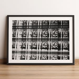 Black and White Fine Art Photography Print | Abstract View of Trees in Window | Black and White Street Photography Wall Art