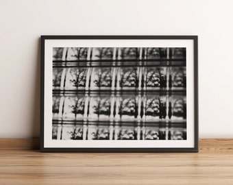 Fotografia de árvore em preto e branco impressa | Vista abstrata da janela