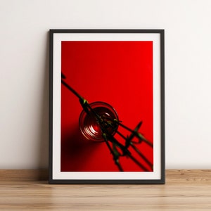 Fine Art Photography Print | Red Carnations | Flower Photography | Monochrome Photo Art | Minimal Photography Prints | Minimalist Wall Art