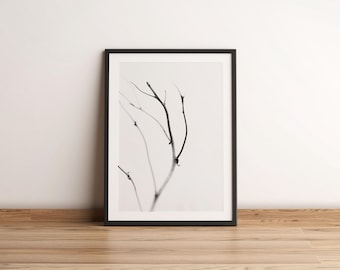 Winterzweig Fine Art Print | Minimalistische Schwarz Weiss Fotografie