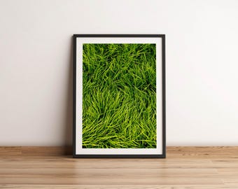 Lush Green Liriope Grass Print | Fine Art Nature Photography