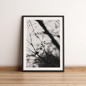 Black and White Fine Art Photography Print | Late Autumn Bare Branches | Black & White Photography | Monochrome Photos | Moody Photography
