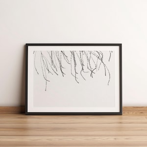 Black and White Fine Art Photography Print | Minimalist Winter Prairie | Black & White Photography | Monochrome Photos | Moody Photography