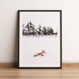Fine Art Photography Print | Oak Leaf in Snow | Winter Landscape Photography Prints | Minimal Tree Photos | Minimalist Wall Art