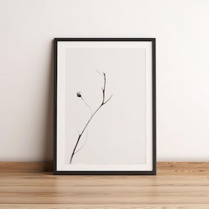Fine Art Photography Print | Black and White Nature Photo | Almost Bare Branch | Minimal Tree Photos | Monochrome Wall Art