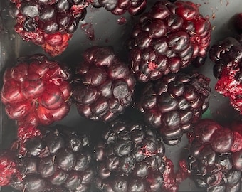 May include: A close-up of a group of dried blackberries. The berries are dark purple and have a wrinkled texture.