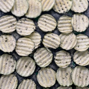 Freeze Dried Ranch Zucchini Chips