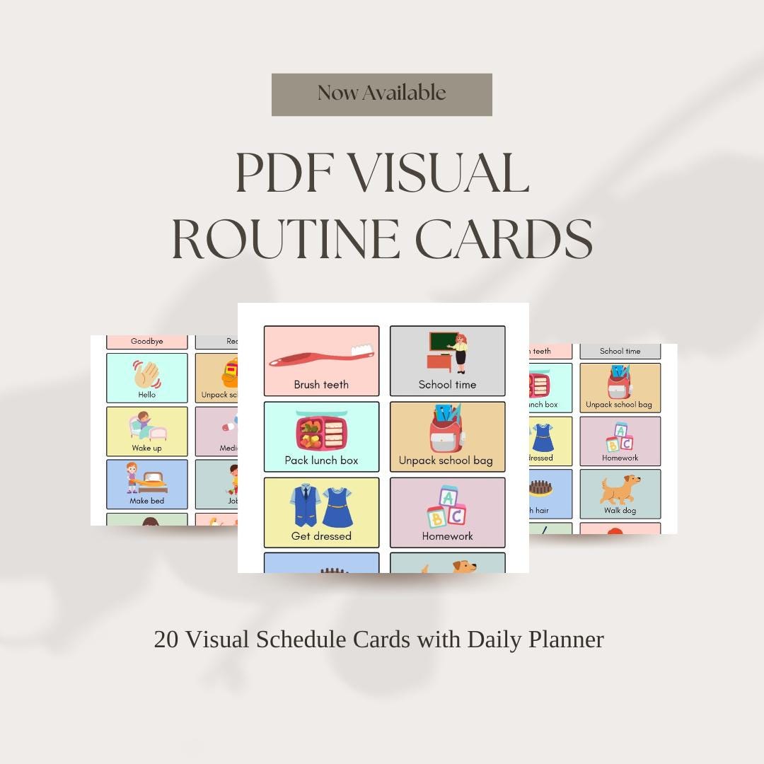 Visual Schedule Cards | Printable Routine for Autistic Kids (PDF) - Etsy