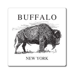 Buffalo New York Magnet
