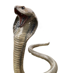 Peut inclure: Sculpture réaliste d'un cobra avec un capuchon dressé et une gueule ouverte. La sculpture est faite d'un matériau brun clair et a une surface texturée.