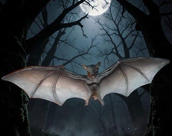 Giant Halloween Bat 90 cm – Creepy Horror Decoration, Flying Bat for Halloween & Horror Fans, Hanging Figure!