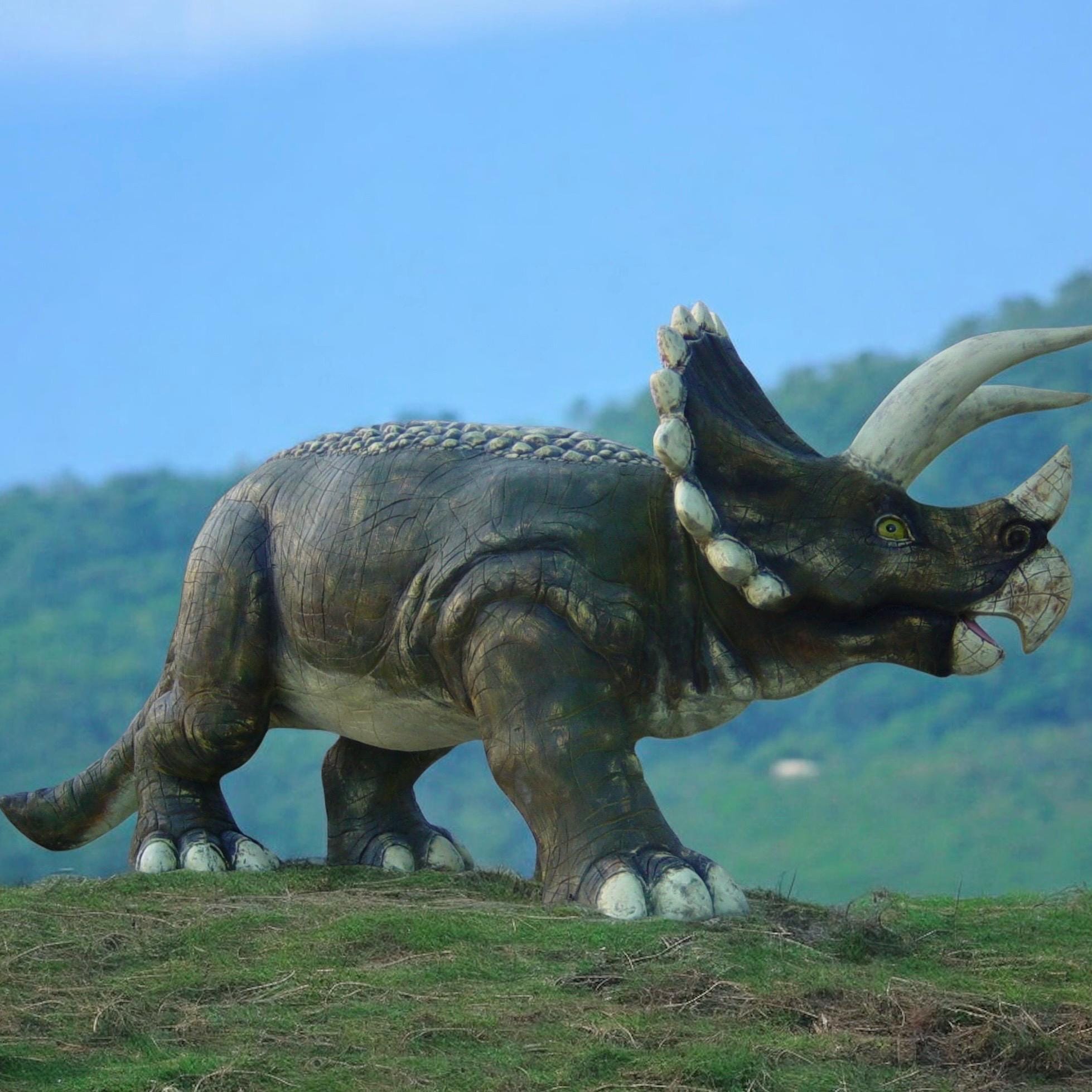 XXL Dinosaur Triceratops 4.75 M Long! Eye-catcher at a Great XXL Dinosaur Triceratops 4.75 M Long! Eye-catcher at a Great