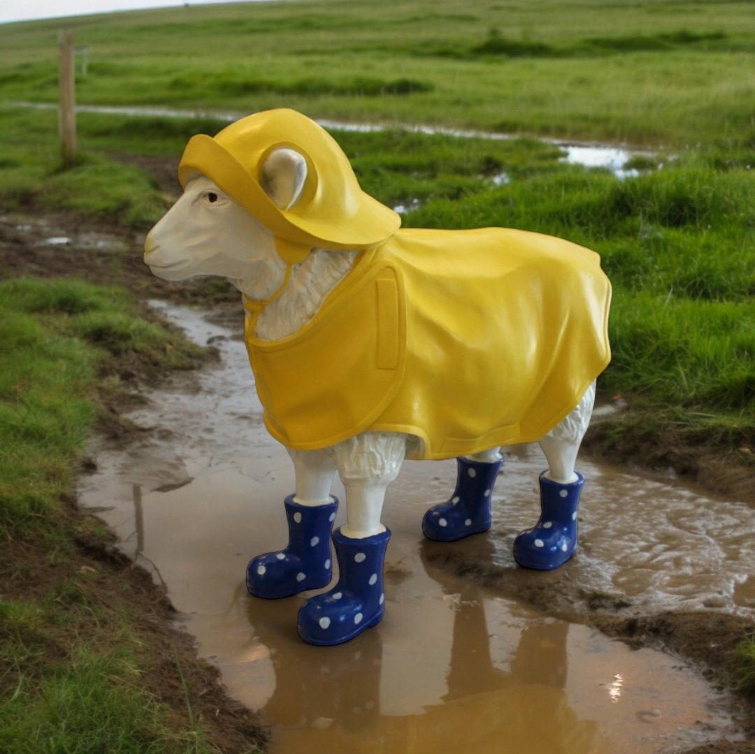 Spannende Schaf Mit Gummistiefel Bild