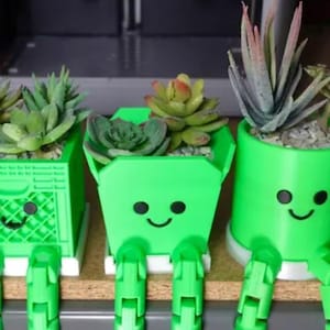 May include: Four green 3D printed planters with legs and smiling faces. Each planter holds a different type of succulent plant.