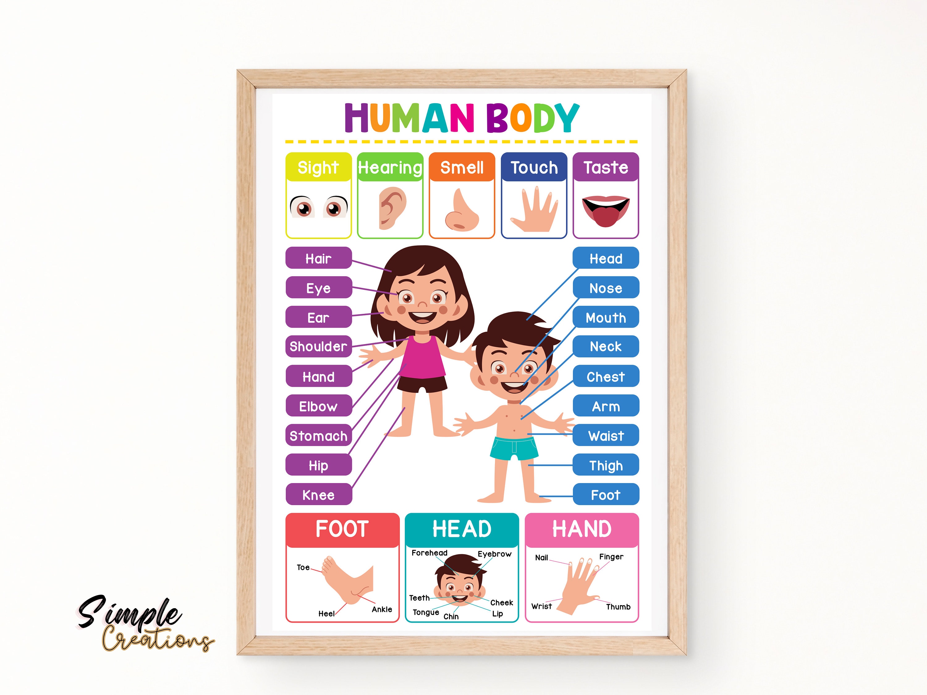 Preschool Science Posters: Rainbow Theme, Homeschool Charts (digital ...