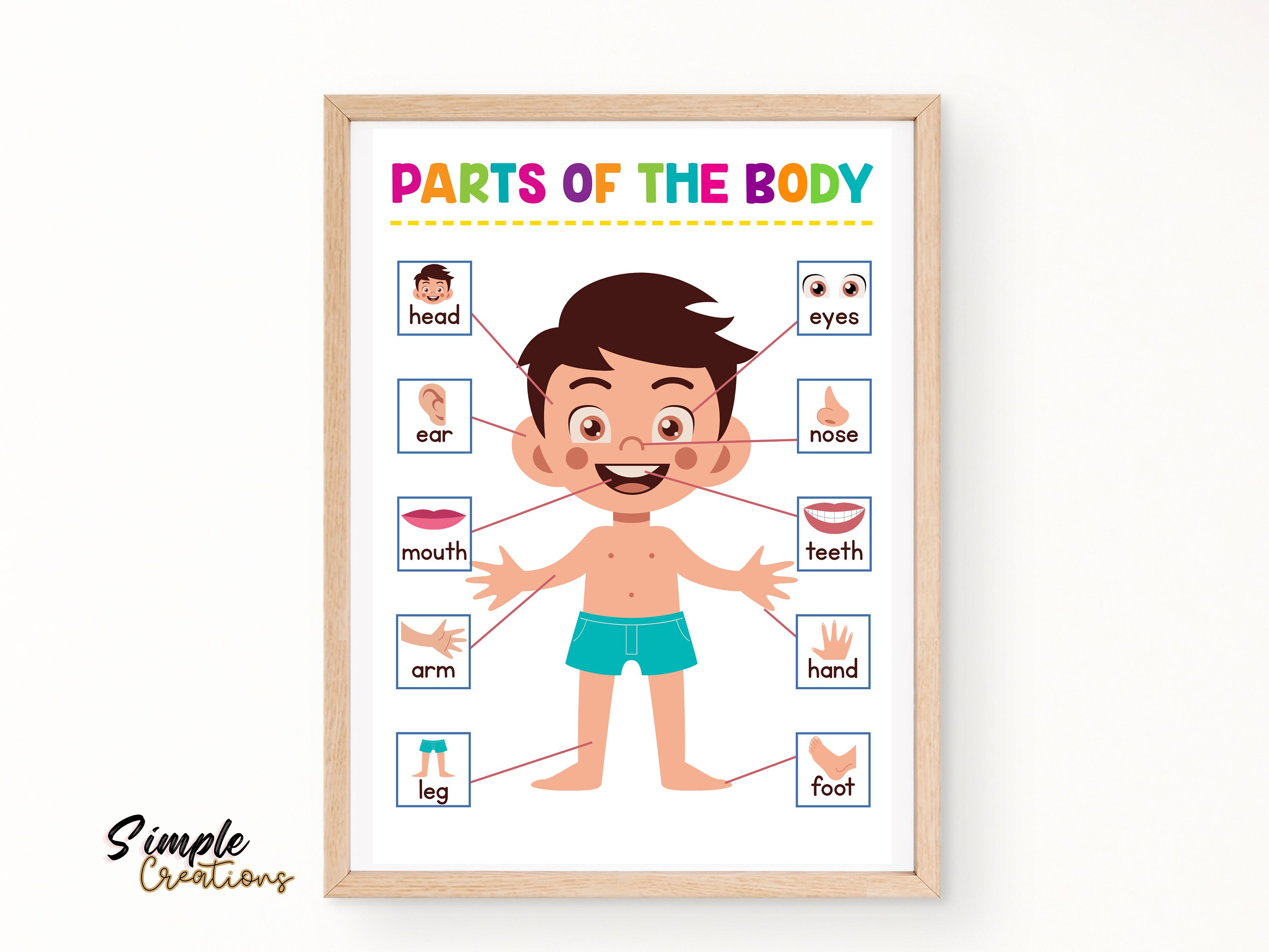 Preschool Science Posters: Rainbow Theme, Homeschool Charts (digital ...