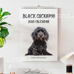 May include: A 2026 calendar with a spiral binding, showcasing a watercolour painting of a black Cockapoo. The text "BLACK COCKAPOO 2026 CALENDAR" is displayed above the dog. The dog has black, curly fur and brown eyes. The words "Beautiful Watercolour Images" are also printed.