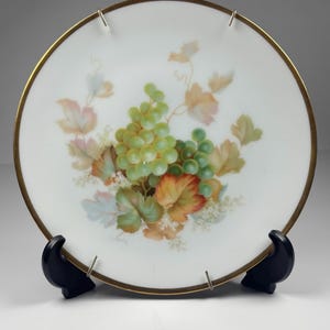 Vintage Thomas Bavaria "Sèvres" Druvtallrik – Handmålad botanisk porslin – Dekorativ väggtallrik