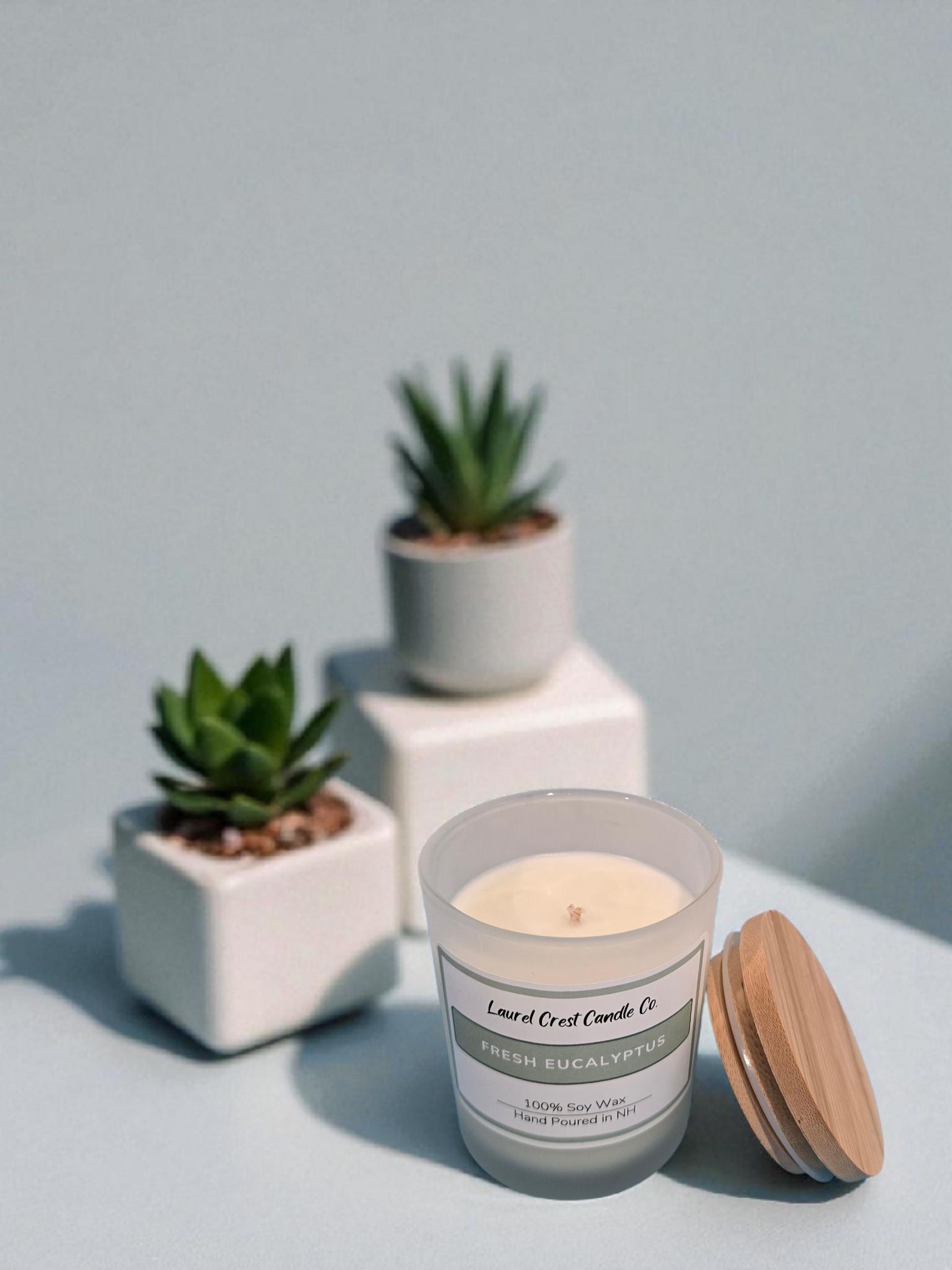 Fresh Eucalyptus 100% Soy Wax Candle - Etsy