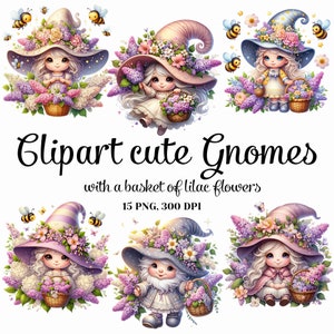 Clipart Lindos Gnomos con una canasta de flores lilas Paquete con fondo transparente para tarjeta de regalo Descarga digital instantánea Uso comercial