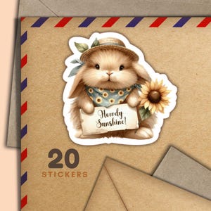 Adesivi Howdy Sunshine, set di 20 fiocchi di adesivi Happy Mail, graziosi articoli per amici di penna per lettere di posta ordinaria, etichette per decorare buste