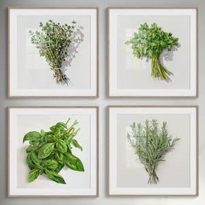 May include: Four framed prints of different types of fresh herbs. The prints are all in white frames with a light wood finish. The herbs are arranged in a bouquet style and are all green.