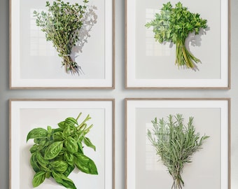 Herb Art Print Set: Basil, Rosemary, Thyme, Parsley (Digital Download)