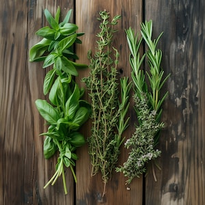 Culinary Herb Art Print: Rustic Kitchen Wall Decor (Digital Download)