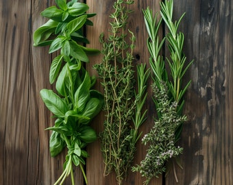 Culinary Herb Print | Botanical Illustration, Rustic Kitchen Wall Art (Digital Download)