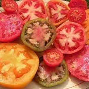 May include: A variety of sliced tomatoes, including red, yellow, green, and pink, on a white plate. The tomatoes are arranged in a circular pattern.