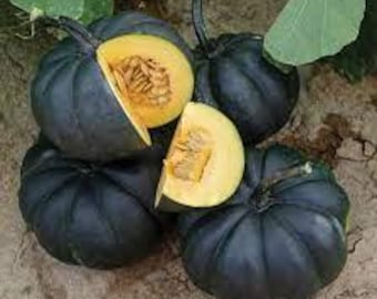 Puede incluir: Un grupo de calabazas bellota de color verde oscuro, una de ellas cortada para revelar la pulpa y las semillas de color naranja brillante. Las calabazas están sobre tierra seca, con algunas hojas verdes visibles.