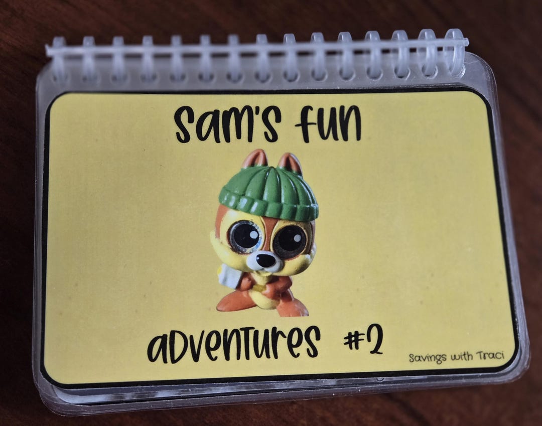 Fun Sam Book Sam's Fun Advenute Book/challenges Volume 2 - Etsy