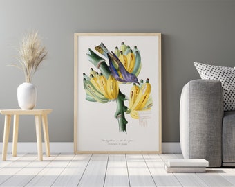 Tachypneu vogel schilderij | Vintage illustratie | Botanische AFDRUKBARE digitale downloadbare print | Kunstdecor-print thuis poster | Muur kunst