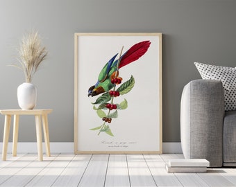 Parkiet vogel schilderij | Vintage illustratie | Botanische AFDRUKBARE digitale downloadbare print | Kunstdecor-print thuis poster | Muur kunst