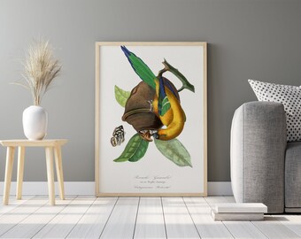 Parkiet vogel schilderij | Vintage illustratie | Botanische AFDRUKBARE digitale downloadbare print | Kunstdecor-print thuis poster | Muur kunst
