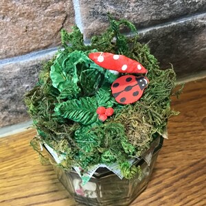 Op de afbeelding: Een glazen pot met een decoratief deksel met een groene, bladerige plant, een rode paddenstoel met witte stippen en een rode lieveheersbeestje met zwarte stippen. De pot is gevuld met mos en ander groen.